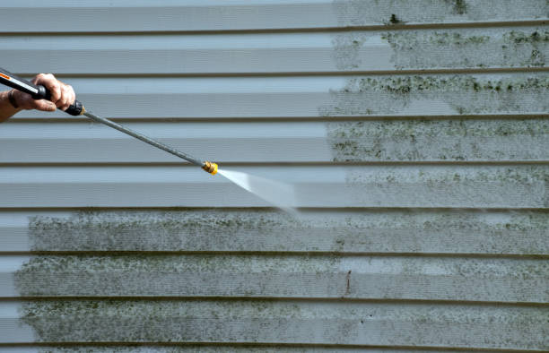 Best Residential House Exterior Washing  in USA